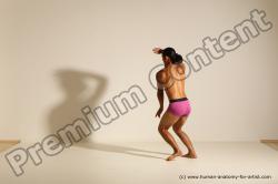 Elmer - Traditional Korean Art